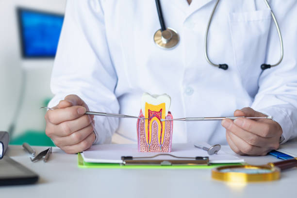 Best Tooth Infection Emergency Dentist  in Crane, MO